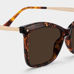 Isaebella Butterfly Tortoise Glasses4