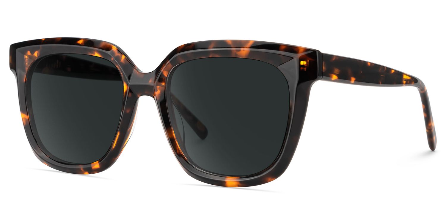 Lark Square Tortoise Polarized Sunglasses2