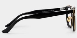Laraine Cat Eye Black Glasses3