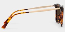 Isaebella Butterfly Tortoise Glasses3