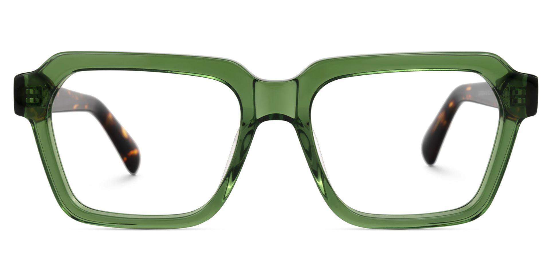 Richard Rectangle Green Eyeglasses and Tortoise Temples1