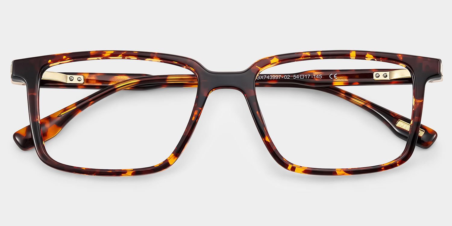 Cyrus Long Rectangle Glasses in Tortoise Frames | ZEELOOL CANADA1