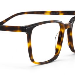 Aidan Rectangle Tortoise Glasses4