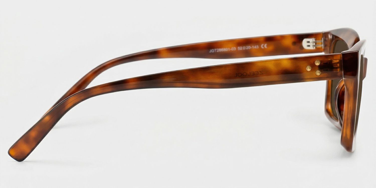 Marley Tr90 Tortoise Frame Sunglasses | ZEELOOL CA3