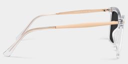 Isaebella Butterfly Clear Sunglasses3