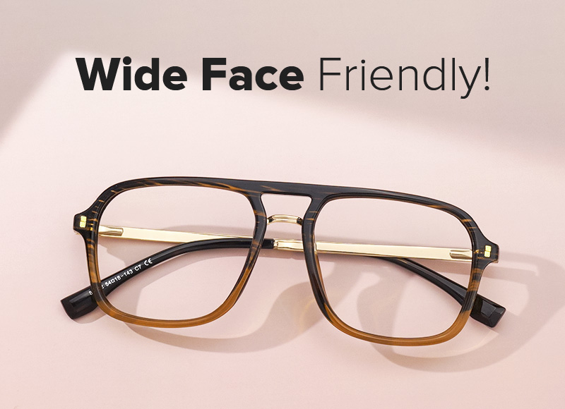 Aviator Kilworth Two-Tone Glasses deals -Zeelool Glasses4