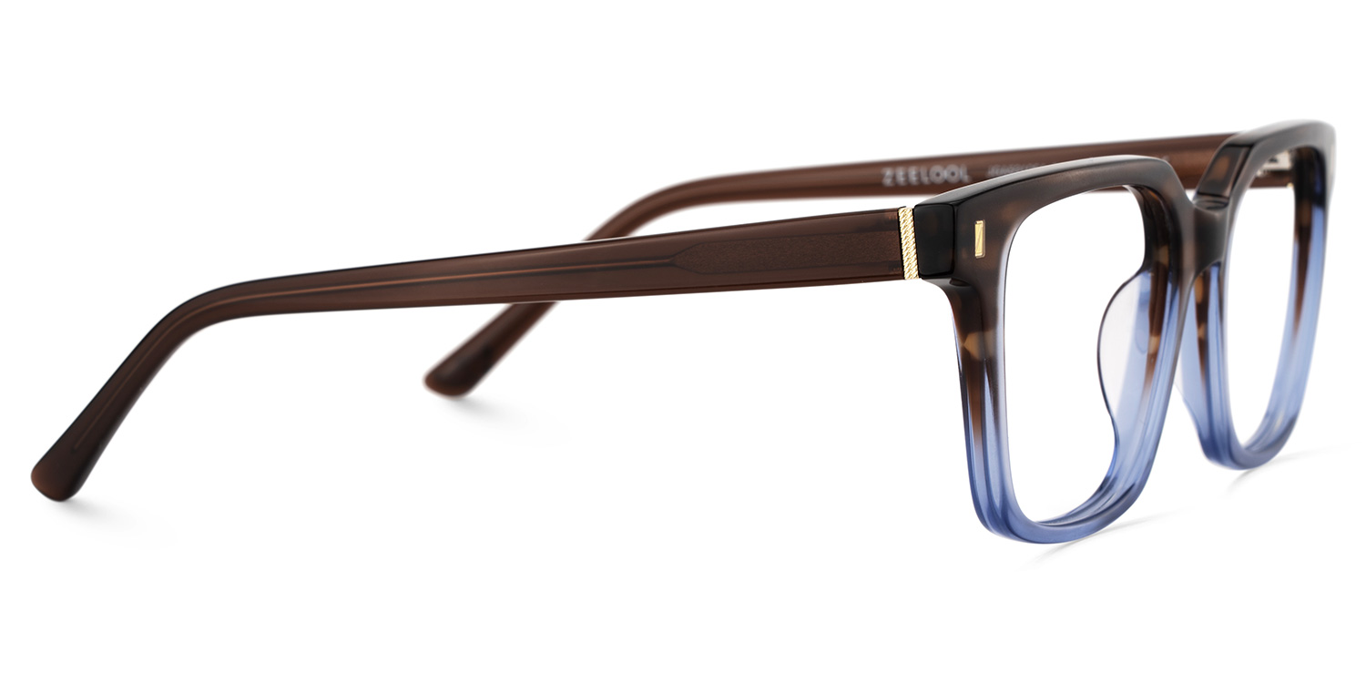 Pagel Brown Gradient Blue Thin Frame Eyeglasses | ZEELOOL Canada4