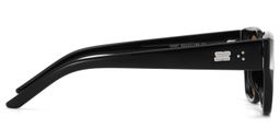 Serene Cat Eye Black Clear Polarized Sunglasses3