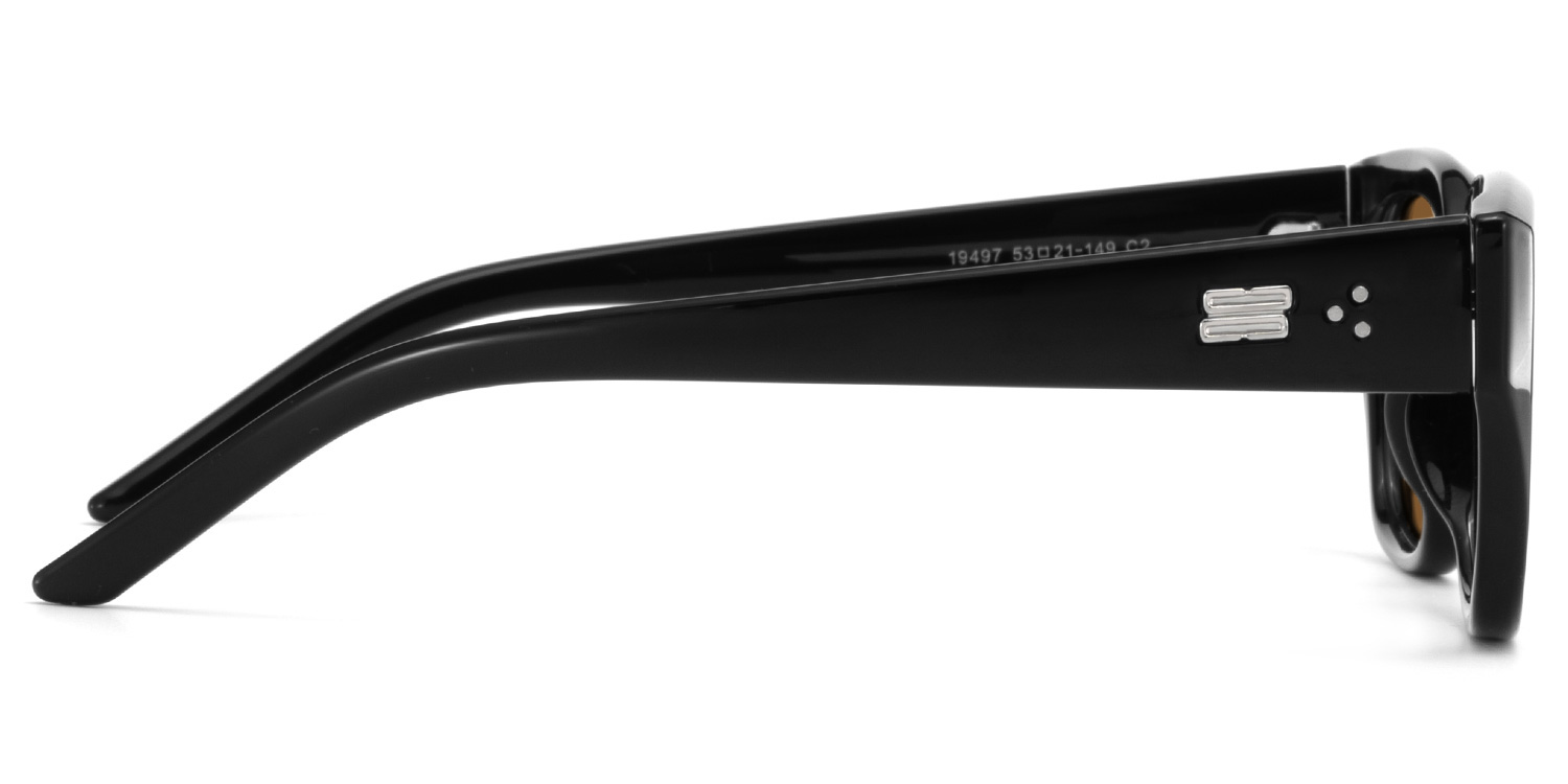 Serene Black Crystal Cat eye Polarized Sunglasses Online | ZEELOOL Canada3