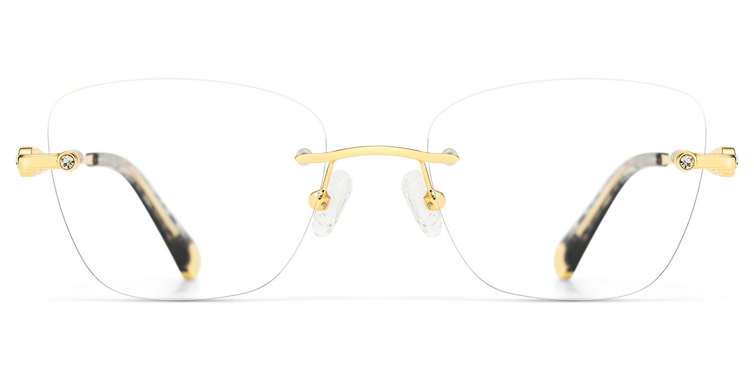 Rectangle Gold Eyeglasses- Seth Metal Frame Glasses1