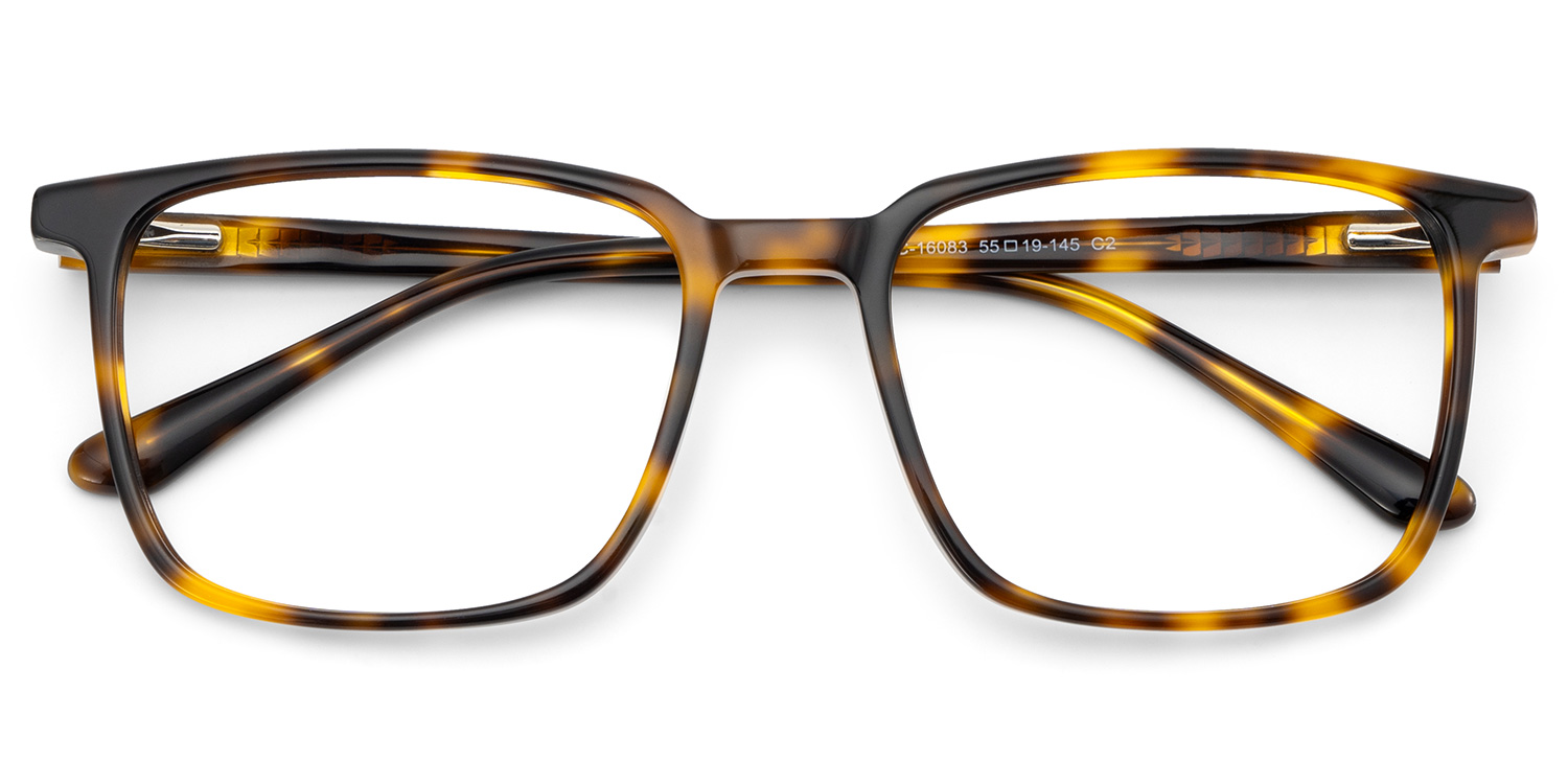 Aidan Rectangle Tortoise Glasses1