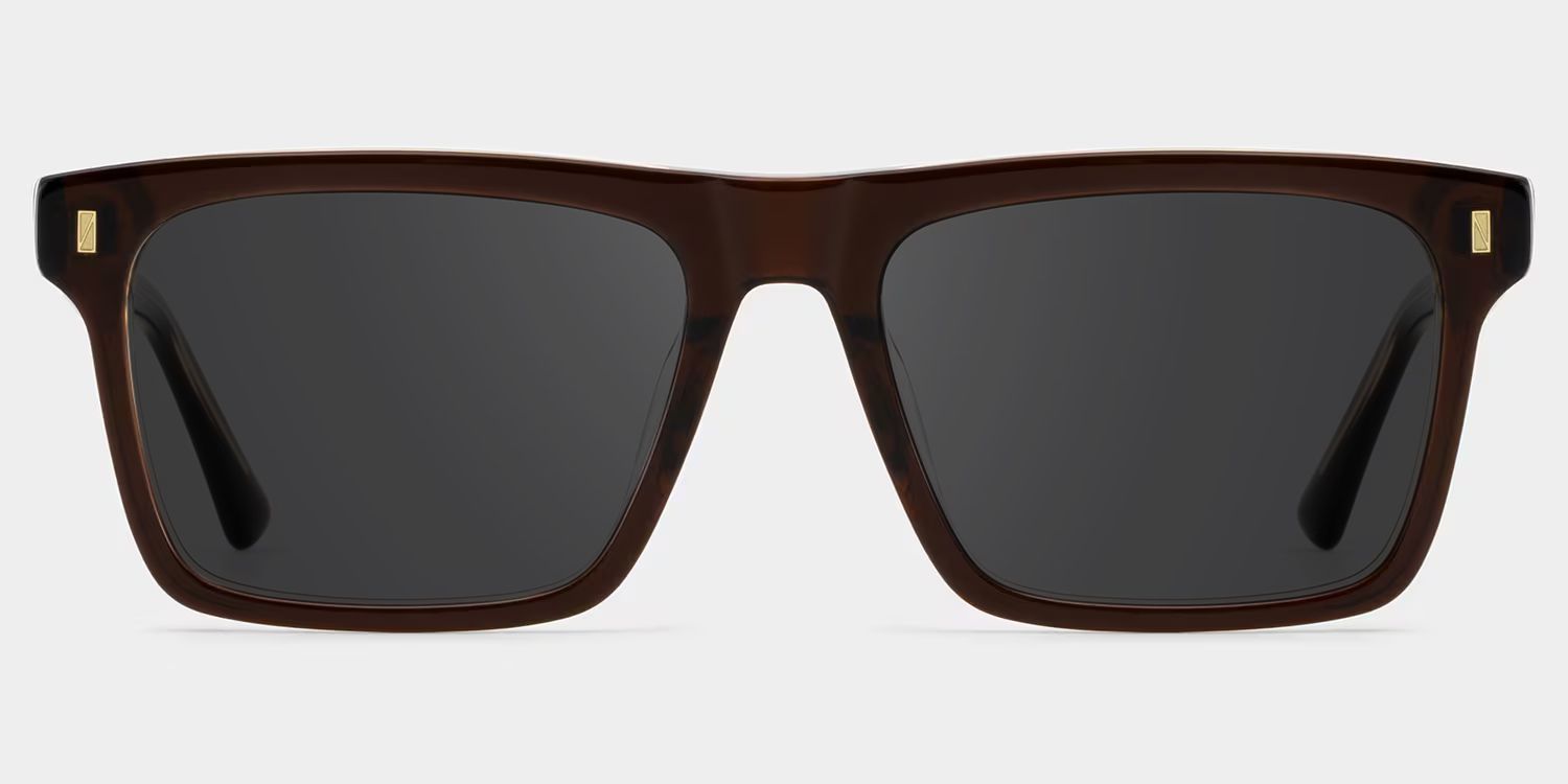 Henry Brown Rectangle Sunglasses to Frame Your Face | ZEELOOL CA0