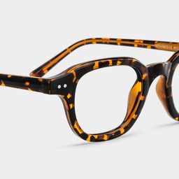 Amber Square Tortoise Glasses5