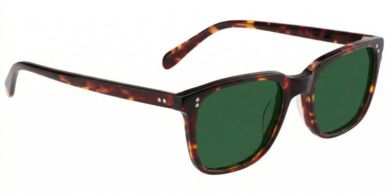 Lamont Tortoise Rectangle Sunglasses to Frame Your Face | ZEELOOL CA3