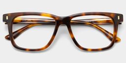Travis Tortoise Rectangle Glasses1