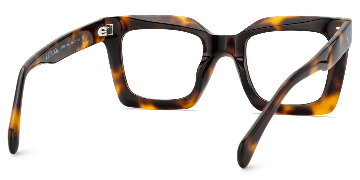 Designer Tortoise Shell Eyeglasses For Men5