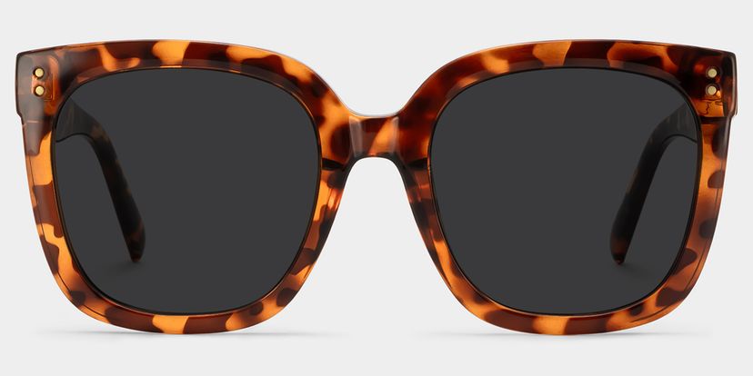 Ebony Square Tortoise Glasses