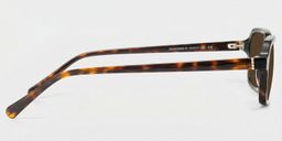 Danielle Tortoise Rectangle Glasses3