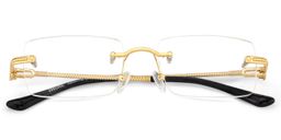 Peavy Gold Rectangle Glasses2