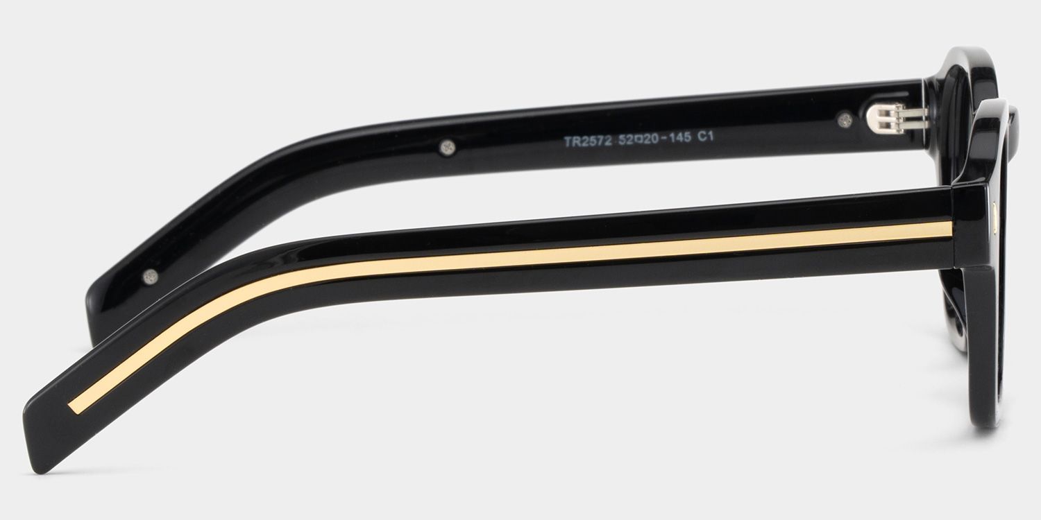 Leilani Black Frame Polarized Sunglasses with rectangle Style Online | ZEELOOL Canada3