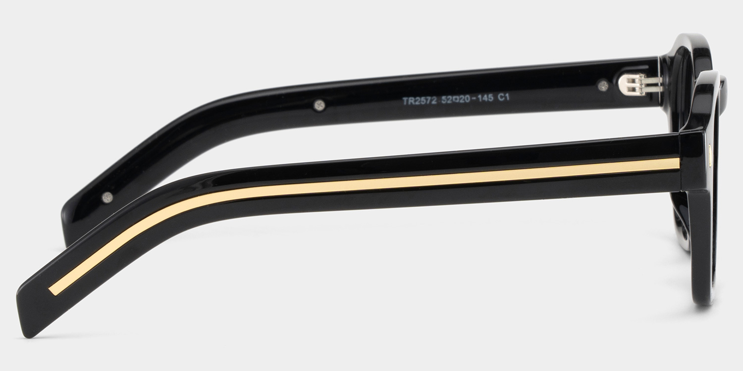 Leilani Black Frame Polarized Sunglasses with rectangle Style Online | ZEELOOL Canada3