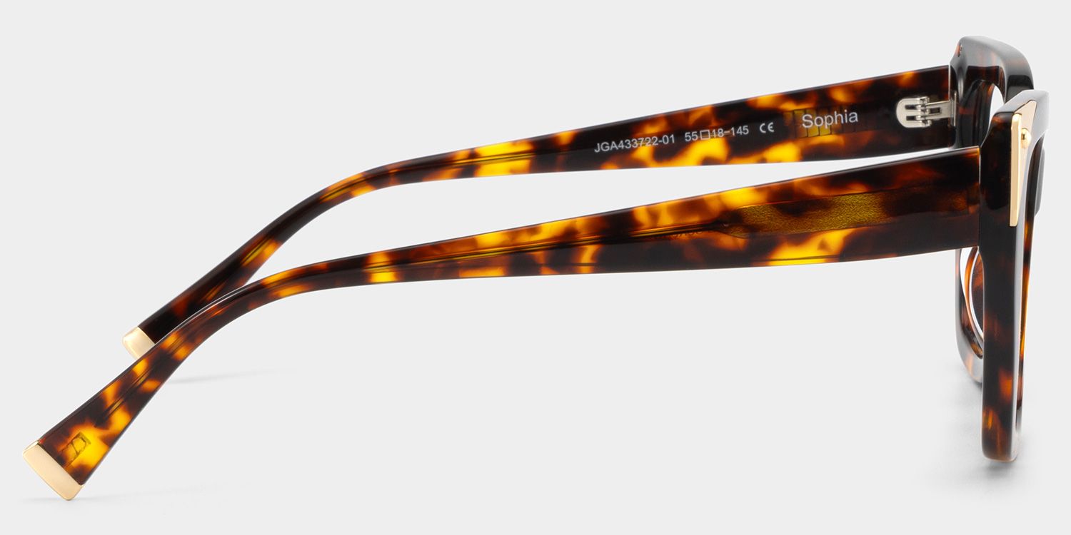 Sophia Tortoise Butterfly Acetate Glasses | ZEELOOL x Prabal Gurung4