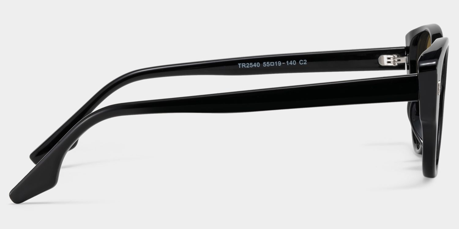 Livia black Frame Polarized Sunglasses with cat-eye Style Online | ZEELOOL Canada3