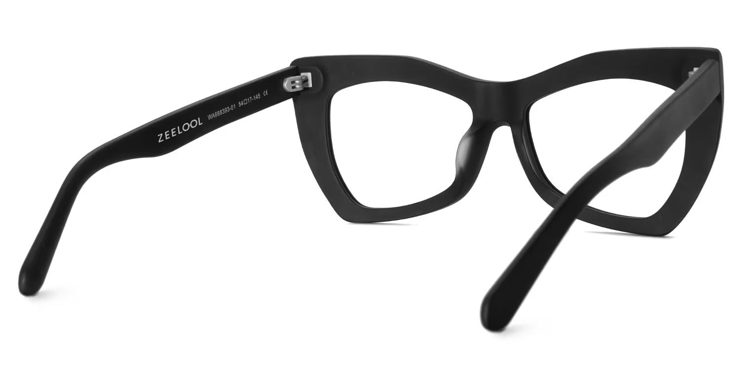 Bernita Geometric Black Glasses | ZEELOOL Canada3