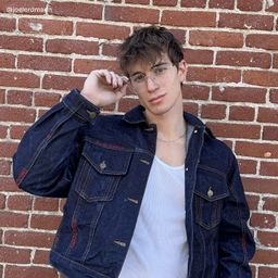 Logan Aviator Silver Glasses7