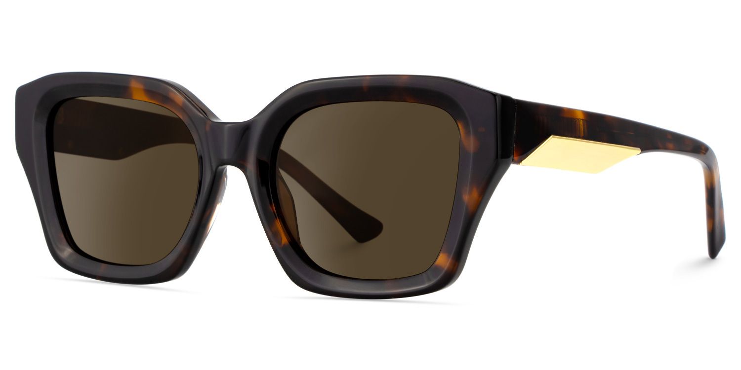 Rhea Square Tortoise Polarized Sunglasses2