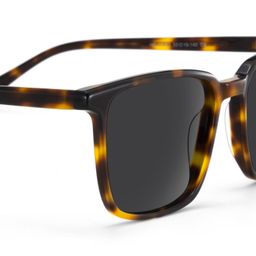 Aidan Rectangle Tortoise Glasses4