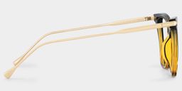Hilary Butterfly Tortoise Glasses3