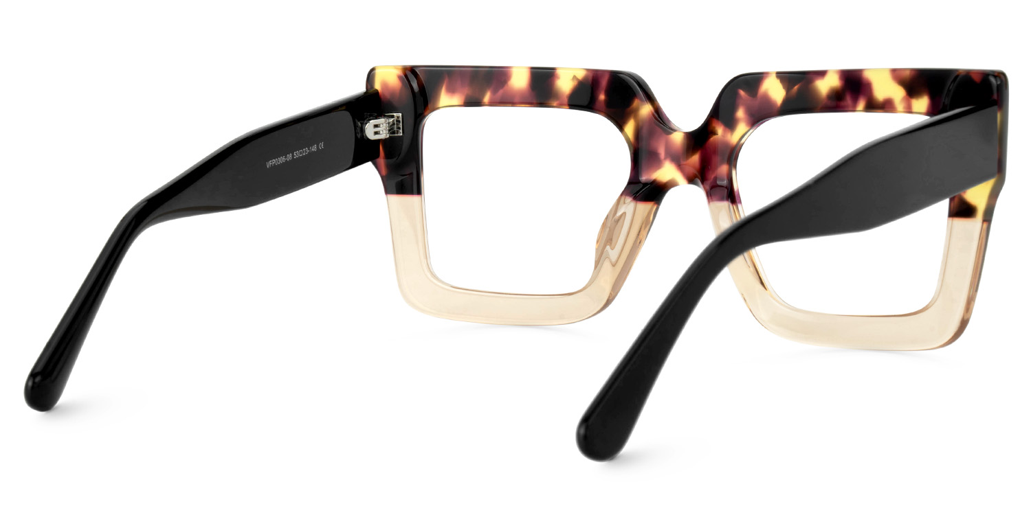 Brandon Square Tortoise Eyeglasses and Two-tone Frames3