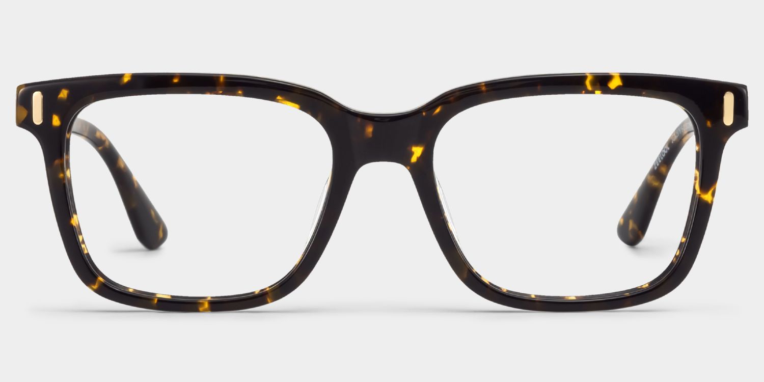 Axel Tortoise Frame Glasses with Rectangle Frame Online | ZEELOOL Canada2