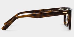 Patrick Rectangle Tortoise Glasses4