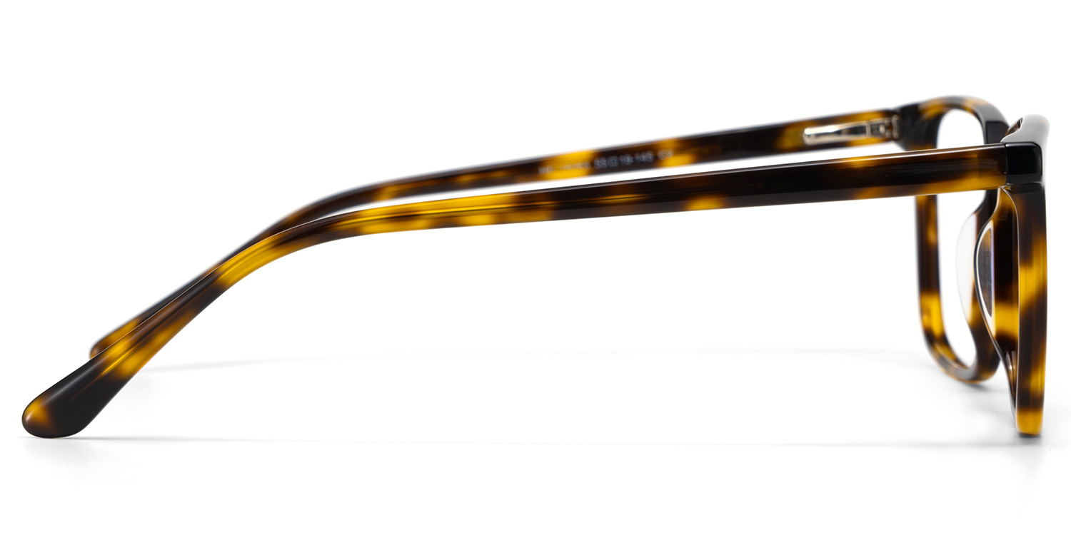 Aidan Rectangle Tortoise Glasses3