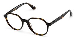 Hazel Geometric Tortoise Glasses3