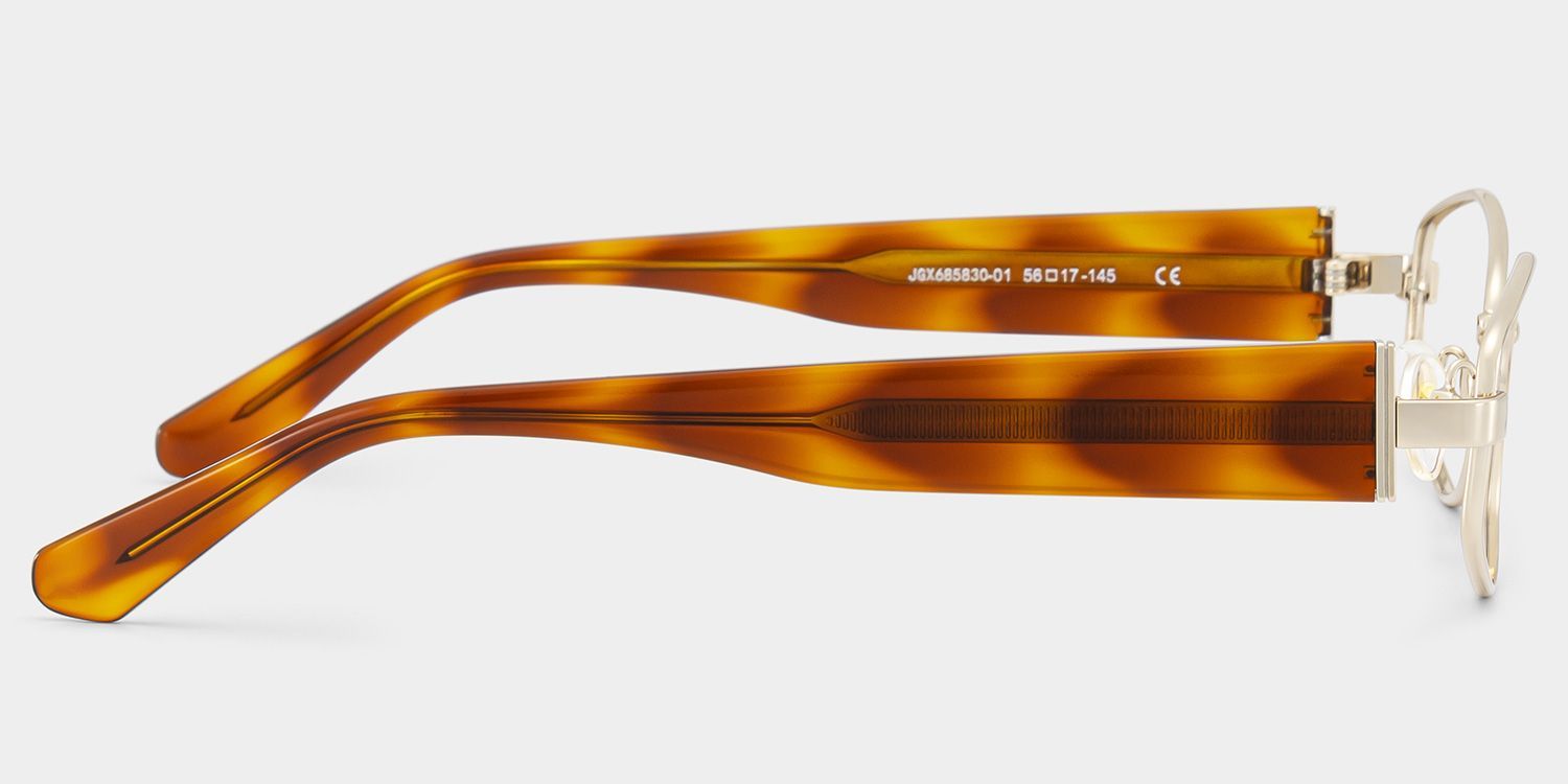 Dakota Warm Brown Tortoise Rectangle Glasses | ZEELOOL4