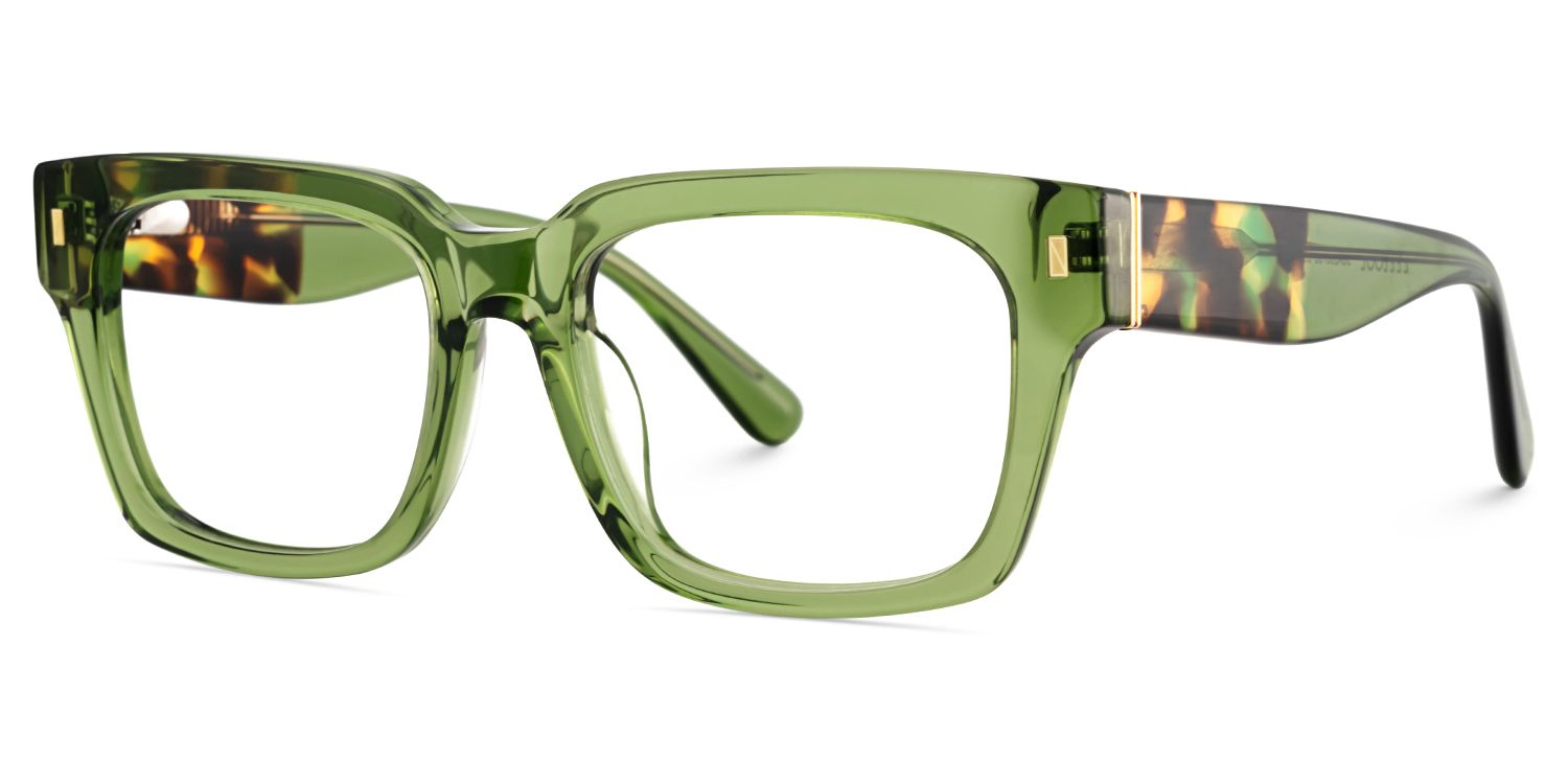 Clear Green Glasses Frames With Green and Tortoise Temples2