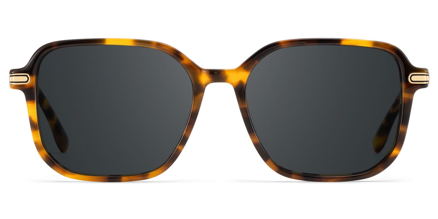 Jetson Tortoise Rectangle Polarized Sunglasses for Driving | ZEELOOL CA0