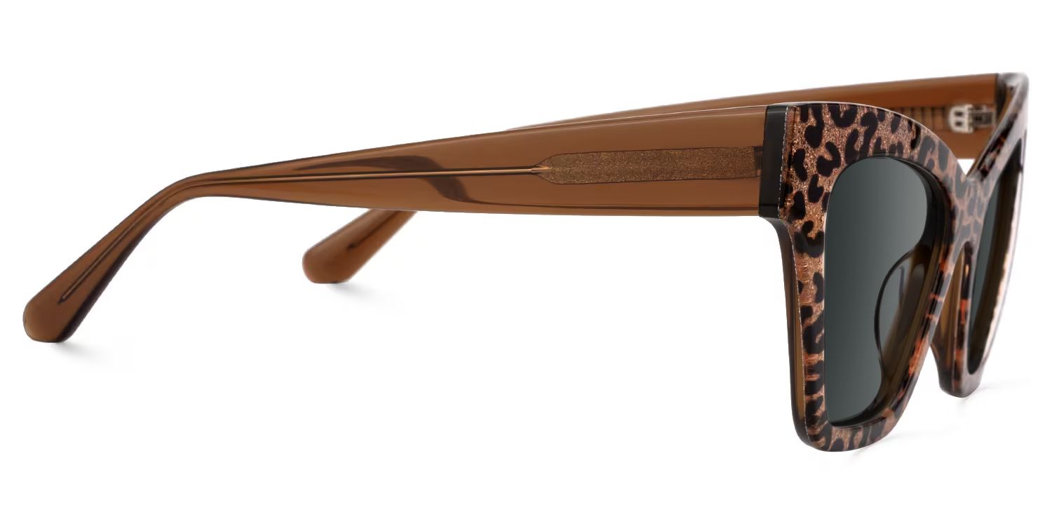 Ansyah Cat Eye Sunglasses with Acetate Leopard Frames | ZEELOOL CA4