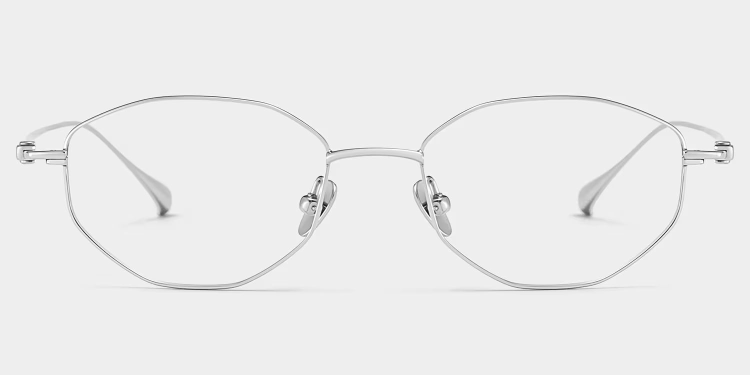 Everett Silver Frame Glasses with Geometric Frame Online |  ZEELOOL CANADA2
