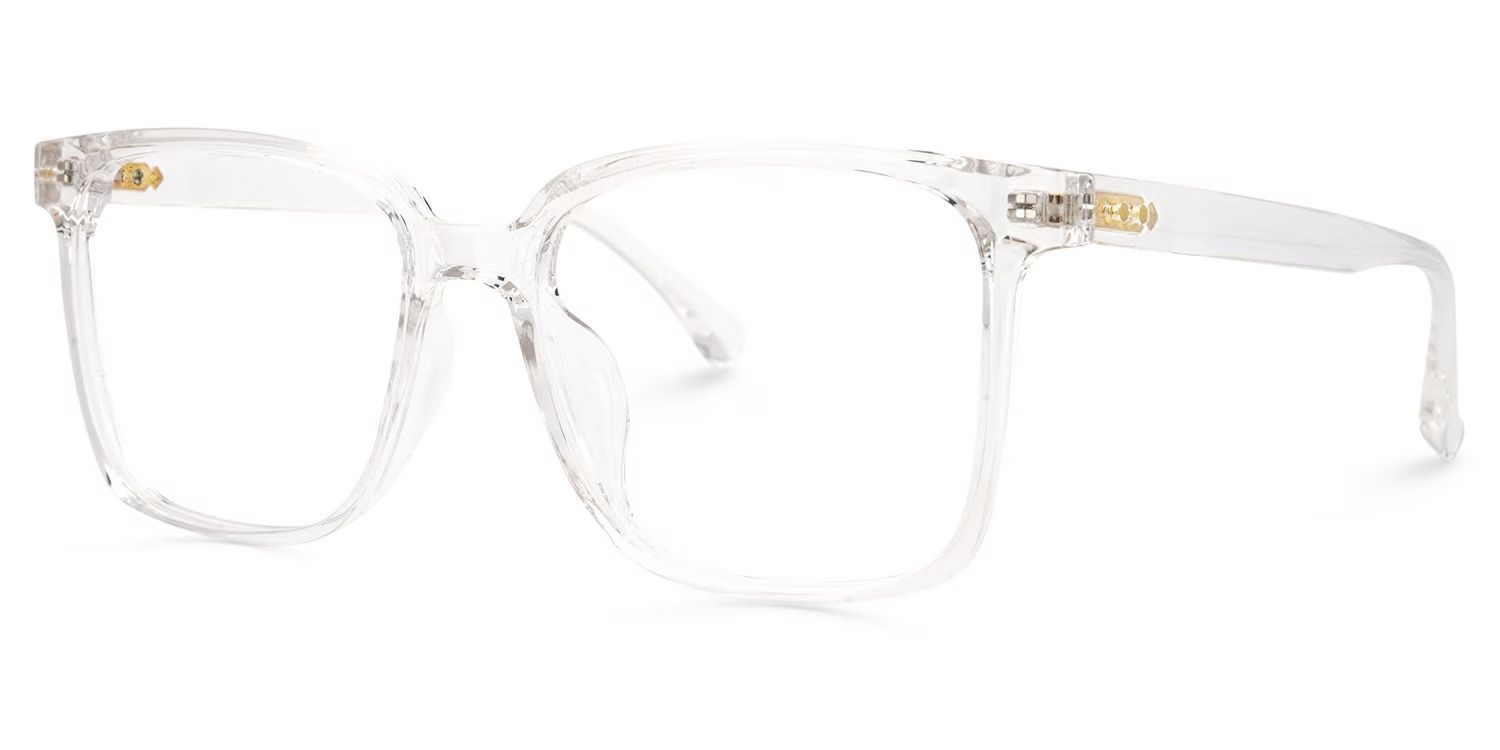 Square Contreras Eyeglasses and Clear Frame1
