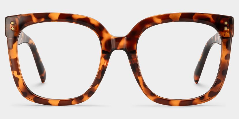 Ebony Square Tortoise Glasses