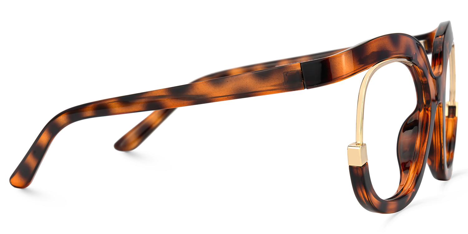 Darice Round Tortoise Glasses | ZEELOOL Canada3