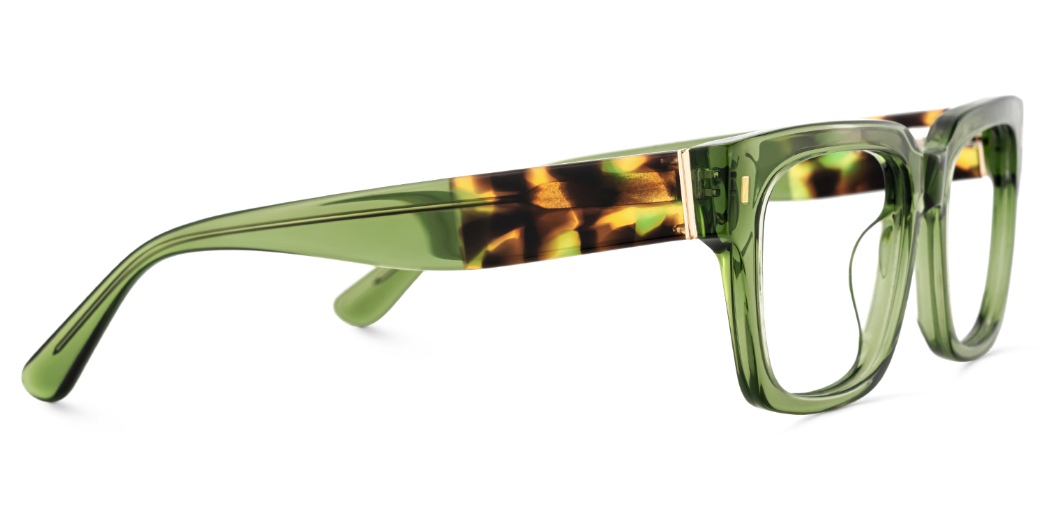 Clear Green Glasses Frames With Green and Tortoise Temples3