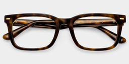 Patrick Rectangle Tortoise Glasses2
