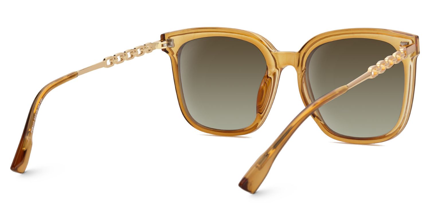 Tammie - Square Brown Frame Sunglasses3