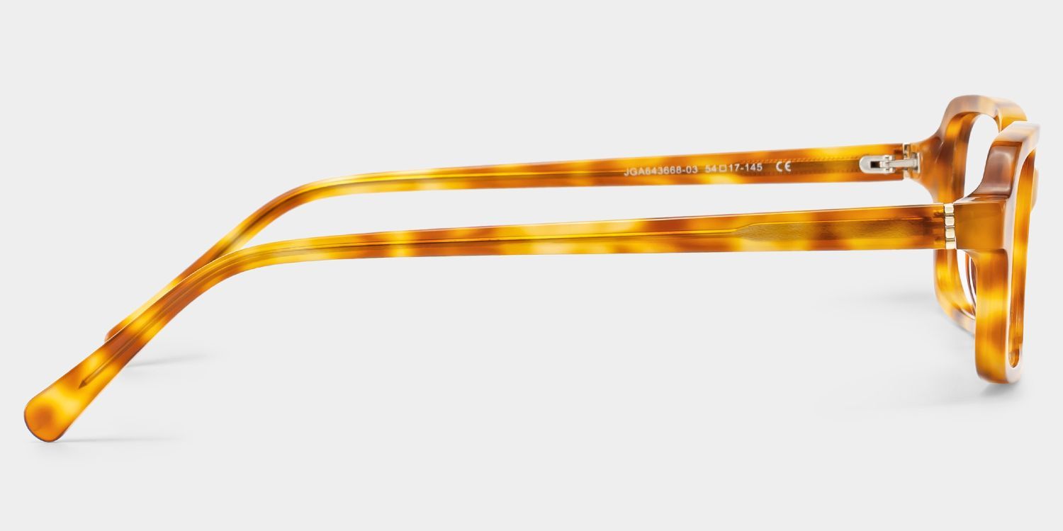 Danielle Light Brown Tortoise Shell Rectangle Glasses | ZEELOOL4