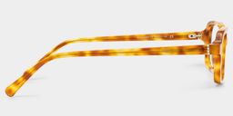 Danielle Tortoise Rectangle Glasses4